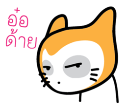 5554066
