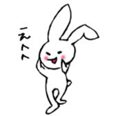 555408026