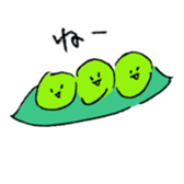 555408036