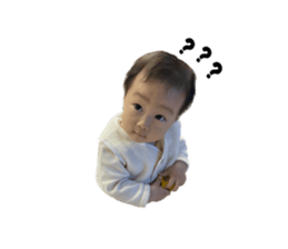 555409044