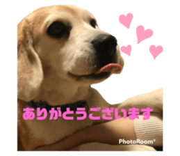 555409803