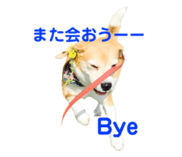 555409810