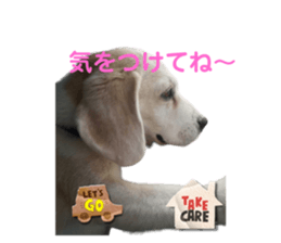 555409822