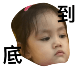 55543085