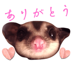 555432384
