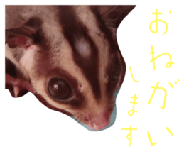 555432389