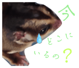 555432390