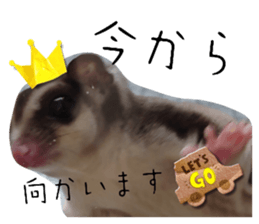 555432396