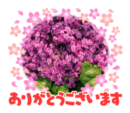 555432654