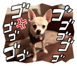 555434336