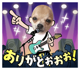 555434347