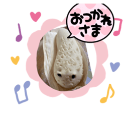 555434374