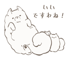 555436622