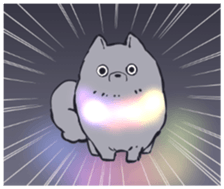 555436646