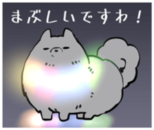 555436647