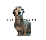 555442697