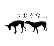 555442701