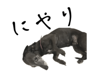 555442703