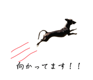 555442704