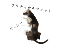 555442706