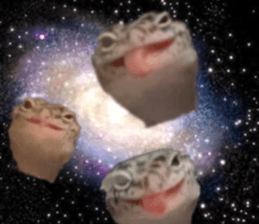 555450318