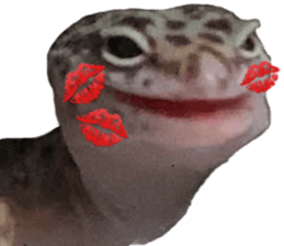 555450324