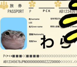 555450325