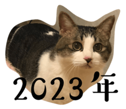 555451115