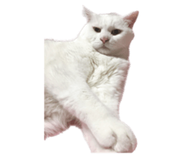 555454312