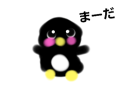 555456648