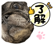 555458005