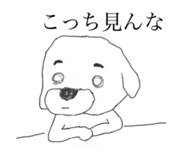 555459033