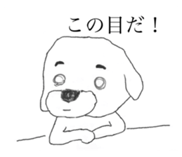 555459041