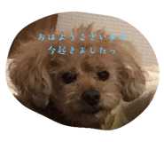 555464546