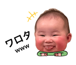555466686