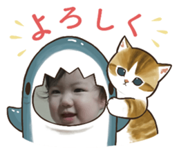 555476231