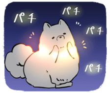555479685