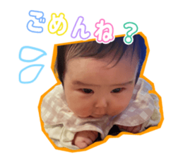 555480011