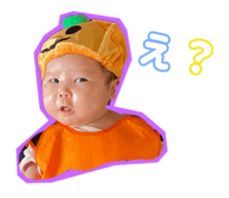 555480016