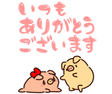 555482511