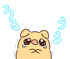 555482524