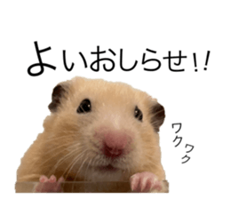 555485470