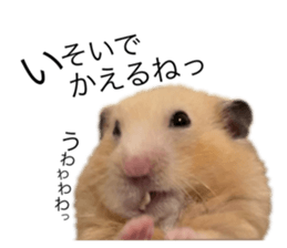 555485474