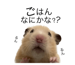 555485475