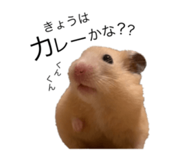 555485476