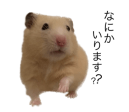 555485477
