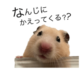 555485478