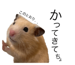 555485483