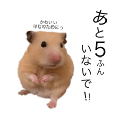 555485484