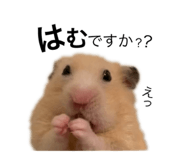 555485489